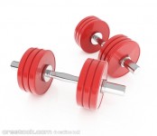 Red dumbbells on a white background.