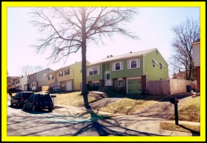 Suburban street with houses and tree.