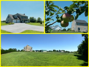 Rural house with apple tree and lawn.